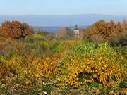 Usedom-Urlaub im Herbst: Benz am Schmollensee.