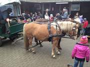 Mit der Kutsche durch das Seebad Loddin: Kinderfest auf dem Reiterhof.