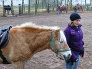 Kinderfest im November: Ponyfhren ist ein groer Spa.