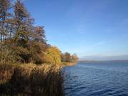 Stoben im Sonnenschein: Herbst auf Usedom.