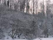 Verhaltener Sonnenschein: Schnee auf Streckelsberg und Ostseestrand.