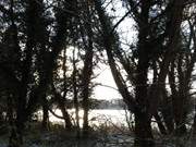 Sonne und Schnee: Der Klpinsee im Bernsteinbad Loddin.