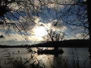 Winter am Klpinsee: Die Schwaneninsel im Gegenlicht.