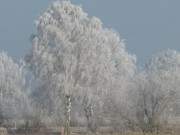 Landschaft im Puderzucker: Winterimpressionen aus der Inselmitte Usedoms.