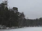Winter am Rand des Zerninmoores: Das "Schwarze Herz" bei Korswandt.