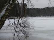 Verschneit: Der kleine See "Schwarzes Herz" am Zerninmoor.