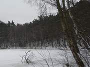 Urlaub im Usedomer Winter: Waldsee "Schwarzes Herz".