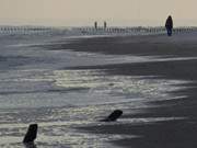 Winterwanderung am Ostseestrand: Urlaub im Ostseebad Bansin.