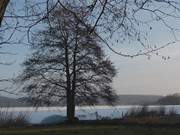 Reste von Gegenlicht: Blick auf den Schmollensee.