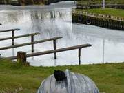 Wachkatze: Achterwasserhafen des Ostseebades Koserow auf Usedom.
