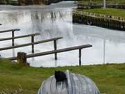 Wachkatze: Achterwasserhafen des Ostseebades Koserow auf Usedom.