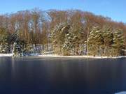 Der Mmmelkensee auf Usedom: Panorama des Nordufers.