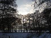 Wanderung durch winterliches Wiesenland: Achterwasser bei Koserow.