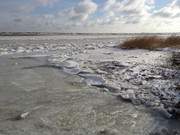 Eisschollen auf dem Ostseestrand: Nrdlich von Karlshagen.