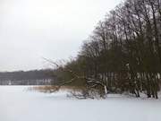 Hinterland des Kaiserbades Ahlbeck: Der Wolgastsee im Osten Usedoms.