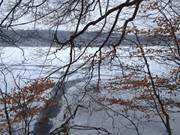 Zugefroren: Der Wolgastsee im Hinterland des Ostseebades Ahlbeck.