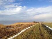 Blick zum Ostseebad Koserow: Wanderung auf dem Achterwasserdeich.