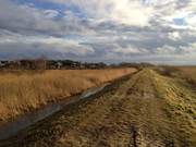 Auf dem Achterwasserdeich zum Hafen des Bernsteinbades Loddin.