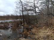 Naturpark Insel Usedom: Der Wockninsee nahe ckeritz.