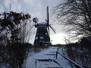 Auf dem Mhlenberg: Windmhle in der Gemeinde Benz.