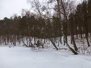 Am Zerninmoor liegt der kleine Waldsee "Schwarzes Herz".