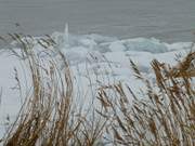 Wanderung auf dem Deich: Eisschollen auf dem Achterwasser.