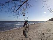 Angeschwemmt: Baumschmuck aus Schwemmgut am Strand von ckeritz.