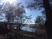 Hinterland der Usedomer Kaiserbder: Sonnenschein ber dem Gothensee.