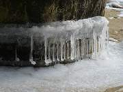 Wie Noten in einer Zeile: Eiszpfchen an einem Stein.