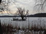 Sonnenstrahl: Die Schwaneninsel im winterlichen Klpinsee.