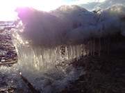 Tauen und Gefrieren: Eiszapfen am Splsaum des Achterwassers.