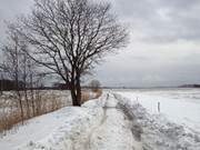 Mit dem Trecker befahrbar: ckeritzer Landweg bei Loddin.