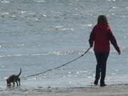 Mit dem Hund an die Ostsee: Strand des Ostseebades Karlshagen.