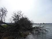 Maritime Landschaft im Usedomer Hinterland: Nepperminer und Balmer See.