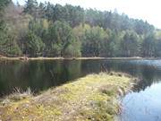 Zwischen den Seebdern ckeritz und Bansin: Der Mmmelkensee.