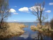 Wie ein Spiegel: Achterwasser an der Halbinsel Lieper Winkel.