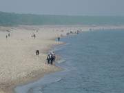 Breiter Sandstrand: Vom Ostseebad Zinnowitz nach Trassenheide.