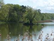 Schwaneninsel: Idyllisches Landschaftspanorama Klpinsee.