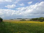 Landschaftsbild im Mai: Loddiner Hft hinter dem Achterwasser.