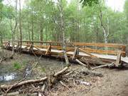 Massiver Steg im Wald: Ausblick ber den Mmmelkensee.