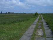 Flaches Land: Halbinsel Struck am Greifswalder Bodden.