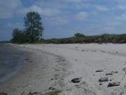Sandstrand am Greifswalder Bodden: Halbinsel Struck.