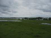 Durchnsst: Wiesenland am Achterwasser bei Neppermin.