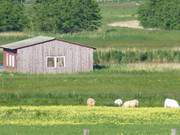 Sehnsuchtsland Usedom: Bootshaus an der Melle bei Loddin.