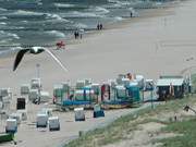 Richtiges Urlaubswetter: Strandkrbe am Strand von ckeritz.