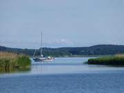 Ausgang der Melle ins Achterwasser: Segelboot am Schilf.