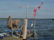 Fischerhafen Kamminke: Netze am Stettiner Haff.