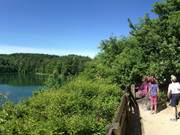 Wanderweg um den Trkiessee: Wollin auf einer Wanderung entdecken.