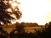 Goldenes Licht: Blick von der "Ltt-Borsti-Ranch" nach Koserow.