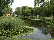 Gegenber vom Schloss Stolpe liegt der Dorfteich.